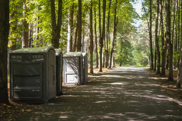 Best High-end porta potty rental  in Big Bend, WI